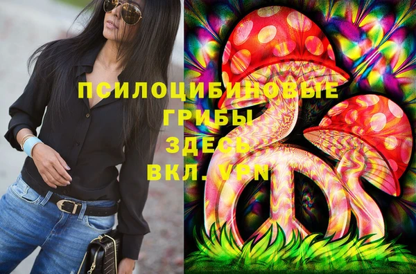 дживик Абинск