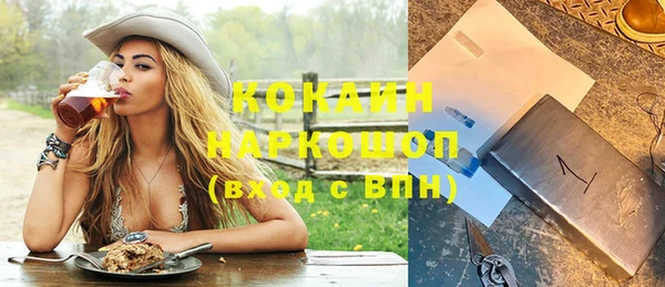 дживик Абинск