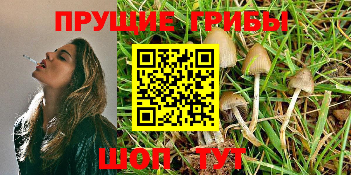 Галлюциногенные грибы MAGIC MUSHROOMS  купить закладку  Новотроицк  Вход с VPN 