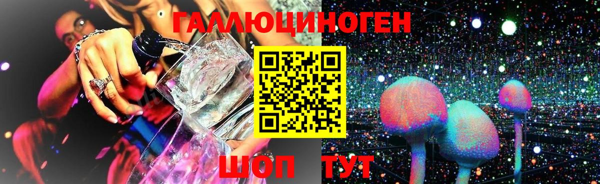 Псилоцибиновые грибы Psilocybe Новотроицк