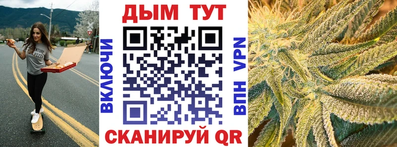 Шишки марихуана сатива  цены   Новотроицк 