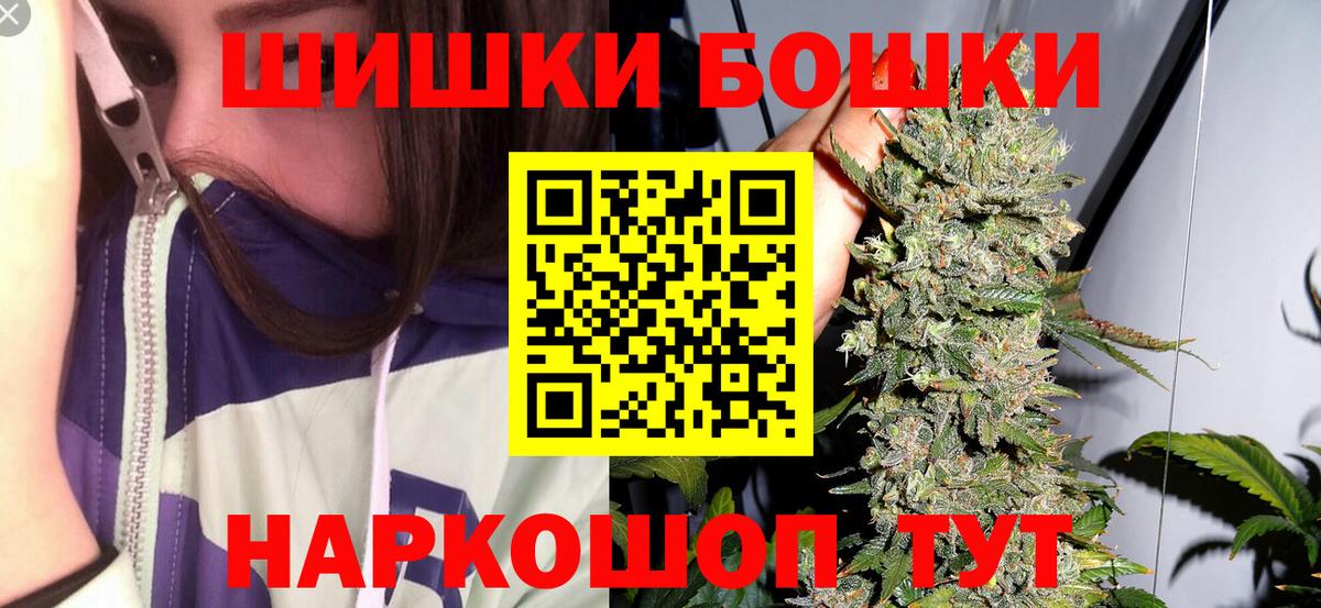 Бошки Шишки план  Вход с VPN  Новотроицк  Канабис семена 